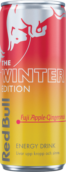 RED BULL WINTER ED 25CL