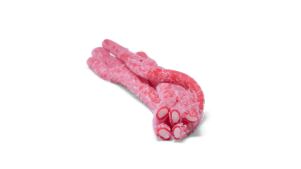 REMMAR SUR JORDGUBB OINSL